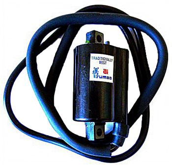 SPULE 12V - DC - OHM - 2 FASTONS - MIT KABEL 110 CM