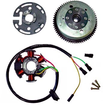 SCHWUNGRAD MAGNETISCH 6 POLIG 12V 85W (DERBI/PIAGGIO 6-GANG MOTOR MIT ELEKTRISCHEM ANLASSER)