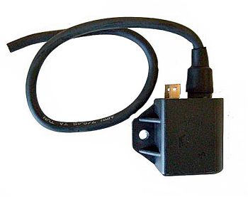 ELEKTRONISCHES STEUERGERÄT – 2 FASTON-ANSCHLÜSSE