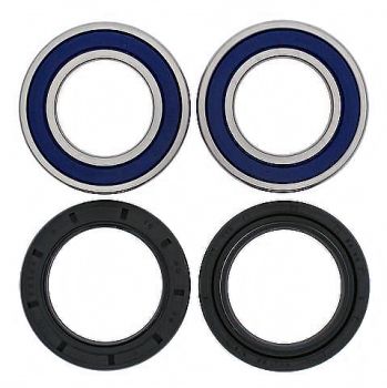 KIT DE RODAMIENTOS RUEDA ALL BALLS 25-1299