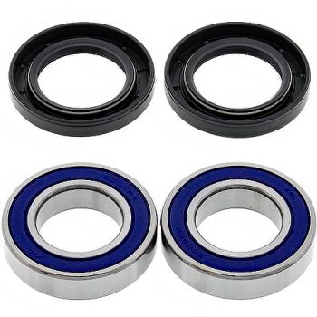 ALL BALLS RADLAGERSATZ 25-1396