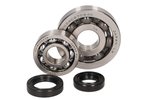 Kit Rodamientos de Cigüeñal Piaggio 50 - 100cc 4T