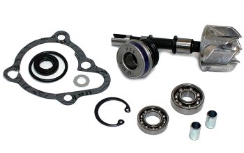 Kit Reparación Bomba De Agua Kymco B&W 250
