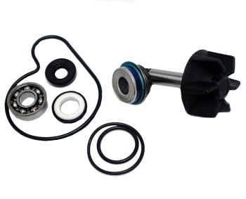 KIT REPARACION BOMBA DE AGUA SGR SUZUKI BURGMAN 250