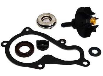Reparatursatz Wasserpumpe Piaggio Beverly 350