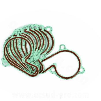 JUNTA DE BOMBA DE AGUAPARA DERBI SENDA EURO 3