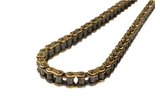 Verstärkte Racing Kette 134 Glieder D.420 Gold
