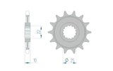Ritzel Afam 13 Zähne TM MX / EN 250
