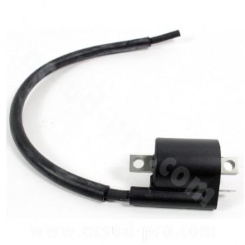 HOCHSPANNUNGSSPULE ROLLER FÜR YAMAHA BOOSTER AEROX PW 50CC OEM 3KJ823101000