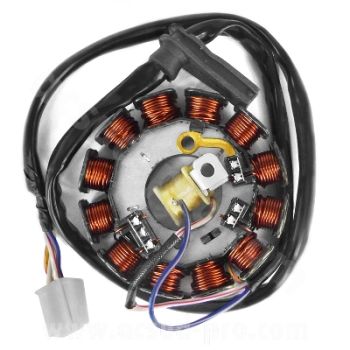 LICHTMASCHINE FÜR YAMAHA DT50 XLIMIT XPOWER TZR50 2007