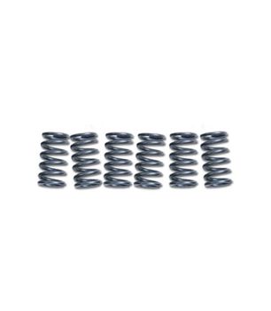 EBC CSK106 Muelles de embrague (4Pcs Per Set)