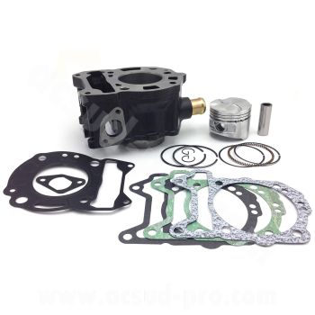 CILINDRO MAXISCOOTER RB MAX  PARA: PIAGGIO BEVERLY / MP3 / X7 / X8 / X9 / X-EVO / VESPA GTS 125CC ( MOTORI LEADER LC 125CC ) OEM: 1A007784
