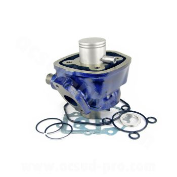 ZYLINDER ROLLER CARENZI GEEIGNET FÜR: YAMAHA NITRO / AEROX / JOG R / MALAGUTI F12 / F15 / APRILIA SR H2O