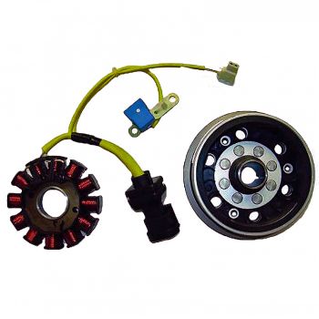 SCHWUNGRAD MAGNET 12-POLIG DREIPHASIG 12V 170W (PIAGGIO MOTOR)