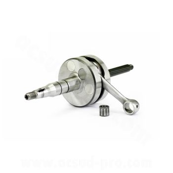 Carenzi Kurbelwelle (geschlossen) für Yamaha Nitro / Ovetto / Mach G / Jog / Aprilia SR 50 / Malaguti F12 '10