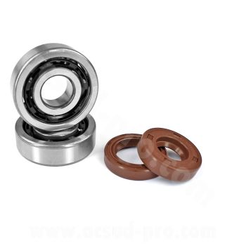 KIT DE RODAMIENTOS NTN (6303 T2XC4) JAULA POLYAMIDE + JUNTAS VITON PARA:  MOTOR AM6