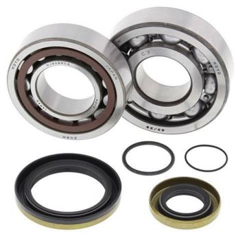 (ANTIGUA 34617)  KIT RODAMIENTOS Y RETENES DE CIGUEÑAL ALL BALLS 24-1115 REF.24-1115