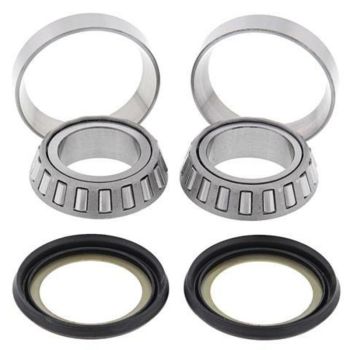 (ANTIGUA 17059) ALL BALLS LENKKOPFLAGER-KIT 22-1002 REF.22-1002