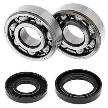KIT DE RODAMIENTOS CIGÜEÑAL ALL BALLS 24-1025