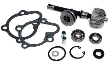 Kit Reparación Bomba De Agua Kymco B&W 125