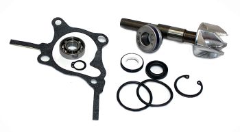 Kit Reparación Bomba De Agua Honda Foresight 250