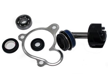 Kit Reparación Bomba De Agua Yamaha Majesty 250