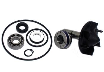Kit Reparación Bomba De Agua Yamaha T-Max 530