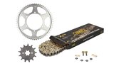Set de Cadena AFAM XS-Ring 13x60 Aprilia RS125 desp.2011 / Tuono 125 desp.2017