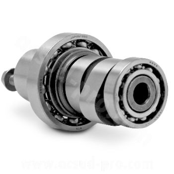ARBOL DE LEVAS MAXISCOOTER COMPLETO PARA HONDA SH  SWING  DYLAN  PANTHEON 125CC RODAMIENTO NTN OEM  14100KGF910