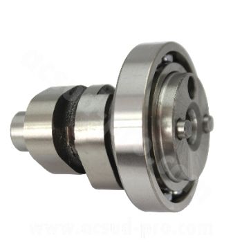 ARBOL DE LEVAS MAXISCOOTER COMPLETO PARA YAMAHA XMAX  YZFR 125CC   RODAMIENTO NTN  OEM  1B9WE2110100