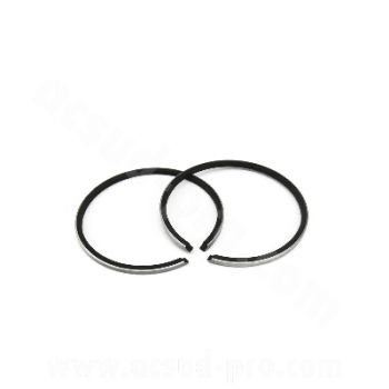 ROLLER SEGMENT FÜR: PIAGGIO TYPHOON 032003 (SATZ MIT 2)